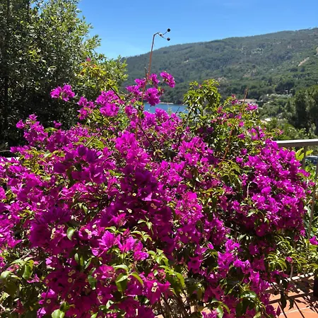 Holiday home Casa Perla E Conchiglia *