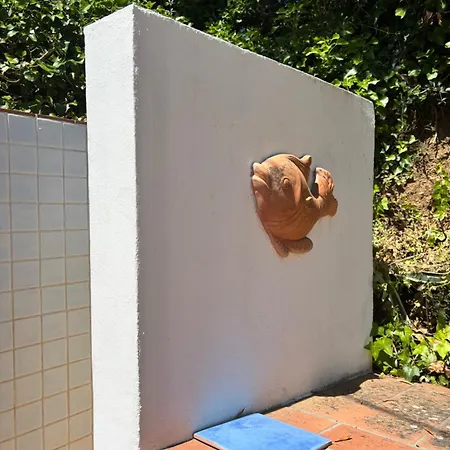 Casa Perla E Conchiglia קאפוליברי