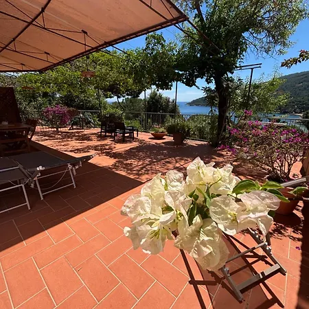 Casa Perla E Conchiglia *
