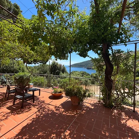 Casa Perla E Conchiglia Holiday home Porto Azzurro