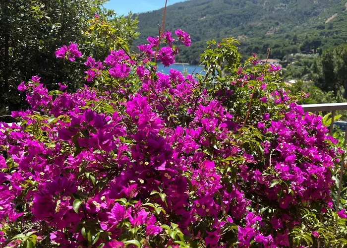 Сasa de vacaciones Casa Perla E Conchiglia *