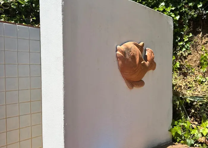 Casa Perla E Conchiglia 卡波利韦里