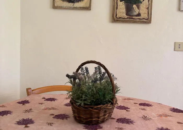 Casa Perla E Conchiglia *