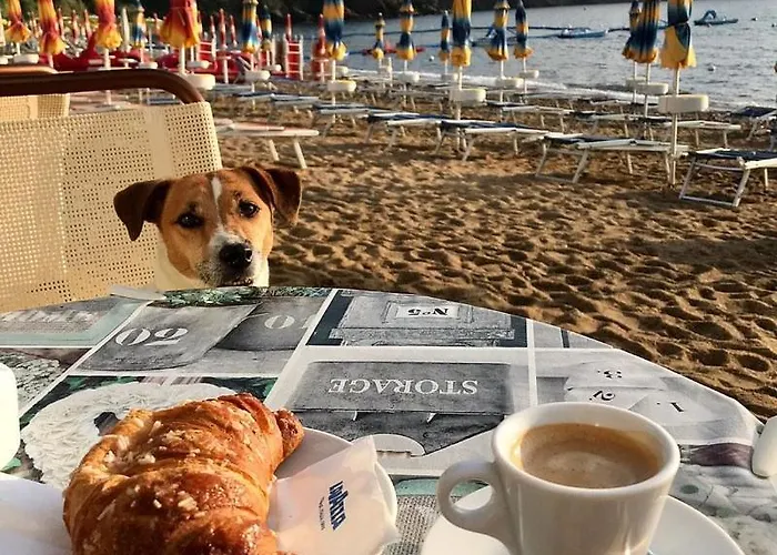 Casa Perla E Conchiglia 別荘 カポリーヴェリ